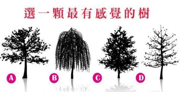 【測驗】選一棵你「最有感覺的樹」,測你內心最離不開誰!