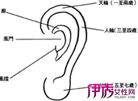命相上的痣男女图解1分析耳朵耳痣运程全参考不和表情包说什么图片