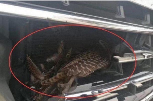 美女開自己賺到的賓士回家,路上車頭被撞,讓修理工人打開車蓋後,發現「意外驚喜」!