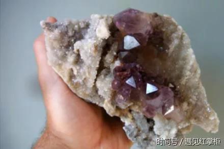 男子樹林發現