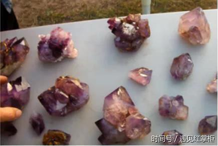 男子樹林發現