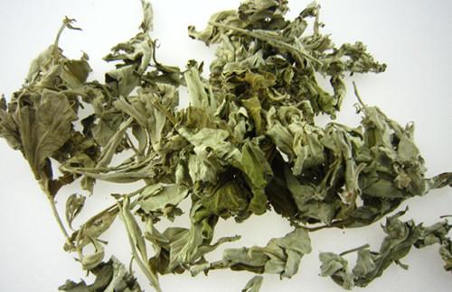 學會用艾草泡腳,能治5病,你的身體會越來越好!