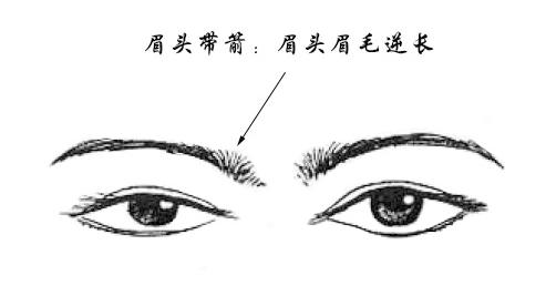 大師告訴你「男人看鼻，女人看眉」，真的要仔細看看，這三種眉毛有礙運勢