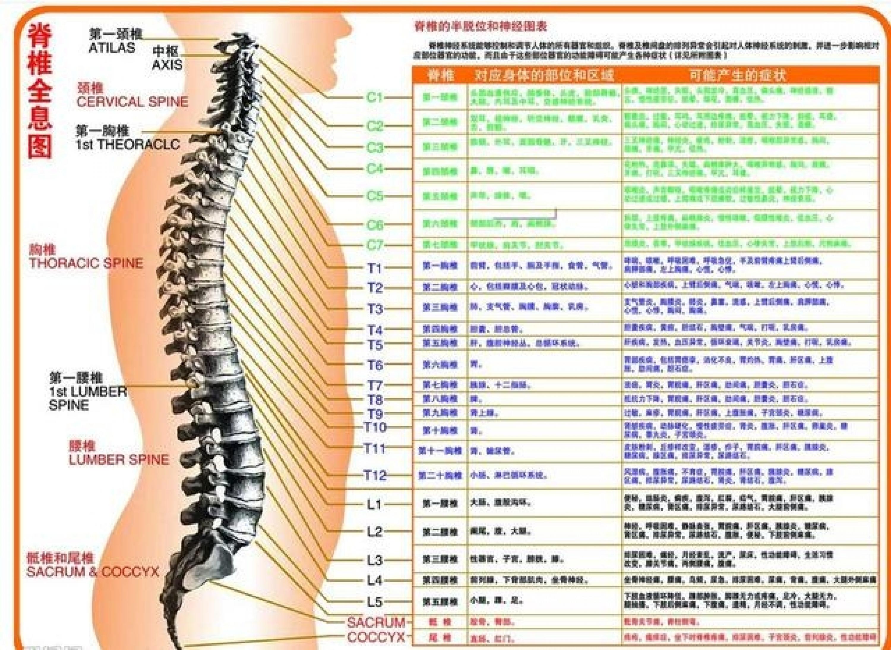 精通数据科学的奥义：腰椎间盘突出防治 - 知乎