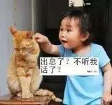 男人叫老牛吃嫩草,那女人呢?不看不知道,看完笑死了!
