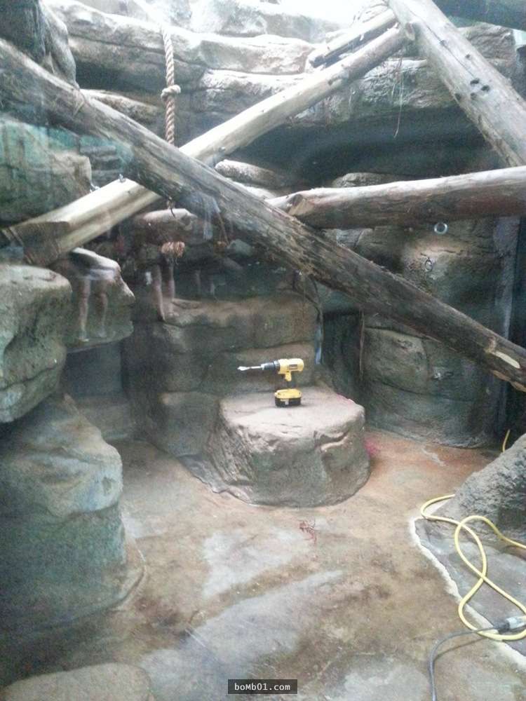 18張讓大家看了會驚慌失色的「失控的動物園一日遊」照片