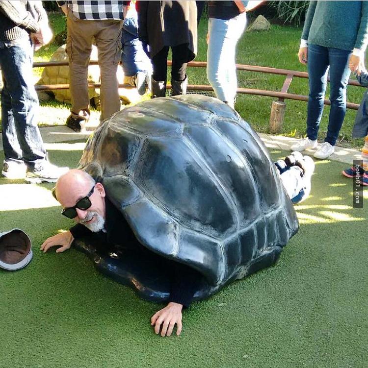 18張讓大家看了會驚慌失色的「失控的動物園一日遊」照片