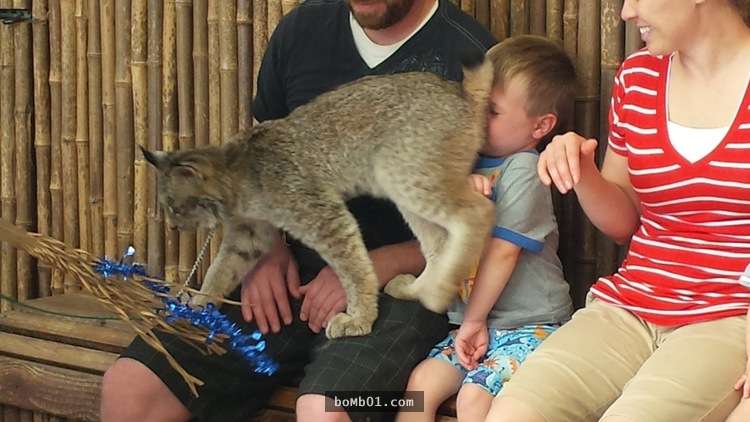 18張讓大家看了會驚慌失色的「失控的動物園一日遊」照片