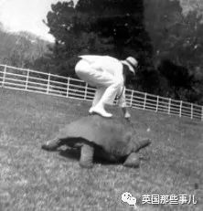 186歲老龜每周堅持啪X啪可就是沒後代。最近終於找到了原因,無語.....