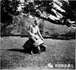 186歲老龜每周堅持啪X啪可就是沒後代。最近終於找到了原因,無語.....