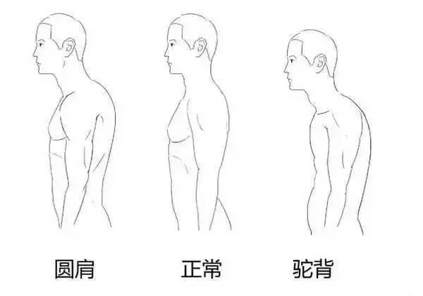 背部赘肉一多,看起来不仅胖一个度!找对方法,从此不再