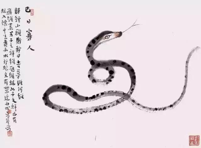 十二生肖中智商高低排名,原來這三個生肖是「人精」,太厲害了