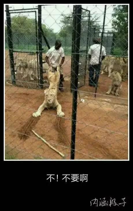 超级爆笑图片,看到第五张.我已笑到脸抽筋!