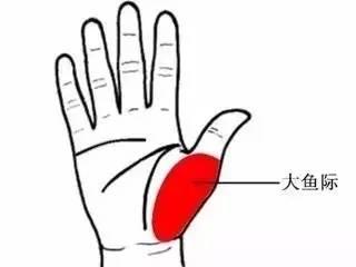 「火」在肺裏,咳嗽;「火」在肝裏,失眠;「火」在胃裡,口臭!為了健康,看看吧!
