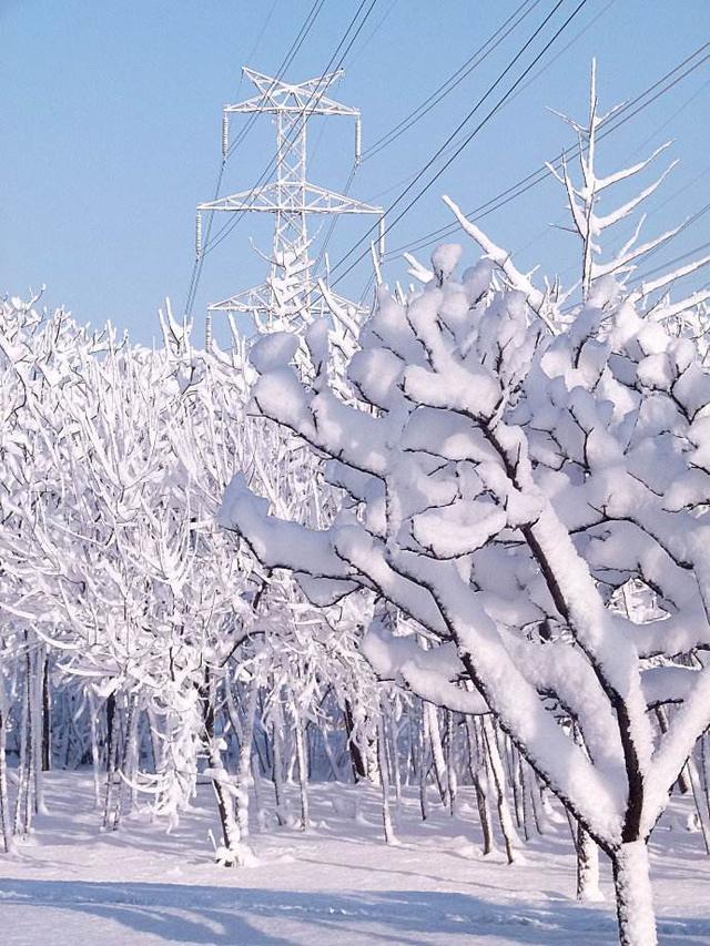 老家下雪,我給媽媽五千紅包,老公回來說句話,我笑著回了五個字
