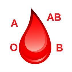 每種血型的七大缺點，非常準！你的血型是哪一個？