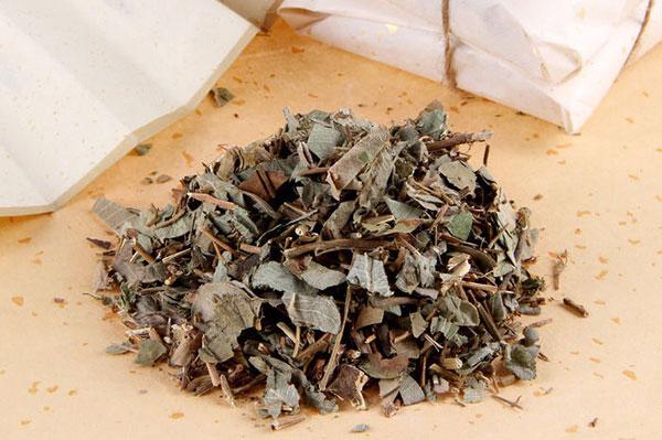 金錢草的草藥,卻是用來預防及治療結石症的關鍵