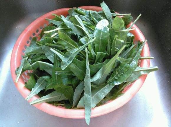 这个野菜,花比蒲公英小,扯一把直接生吃,鲜嫩又清甜,它可抑制癌细胞的