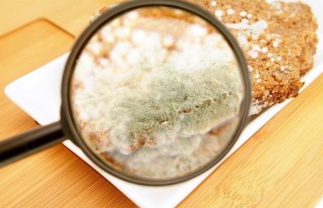 四,油炸食品:膨松剂首先损坏脑组织