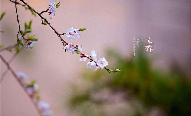 2018年立春開始,這五大生肖鴻運當頭,財源滾滾來!快看有你嗎?
