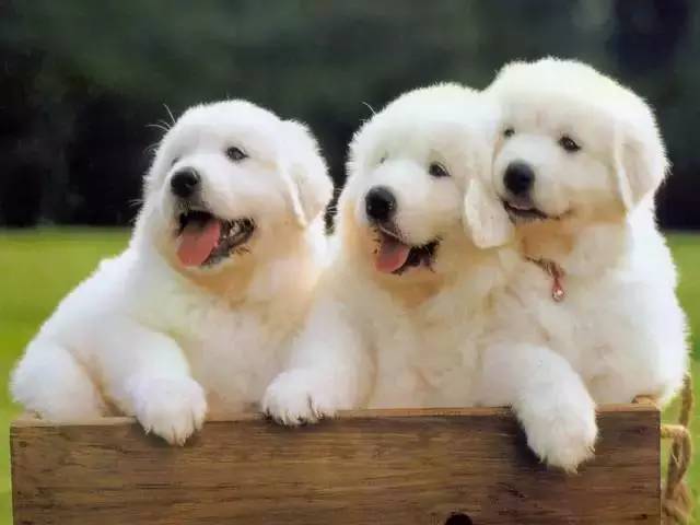 15171108406958.jpeg
