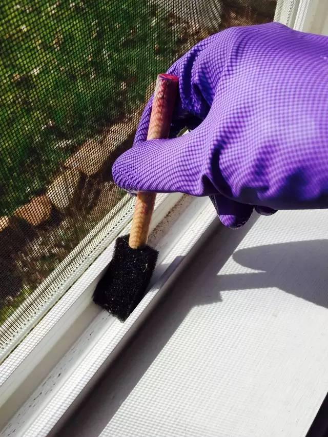 價值1元的洗碗海綿,不為人知的13個神奇用途,懂了你就賺了!