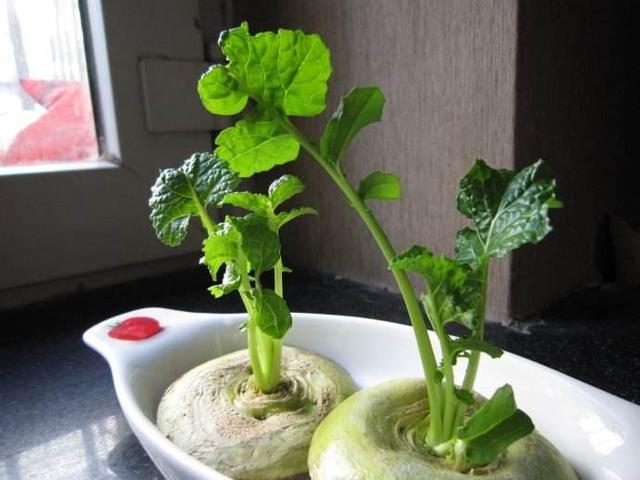 大媽7年癌症!癌細胞一天天減少,醫生說多虧吃它!
