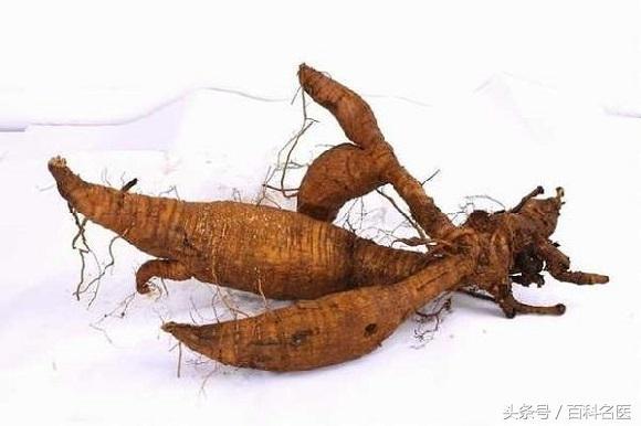 中藥中的葛根有哪些神奇的功效?長期服用會怎樣?