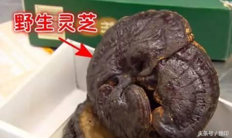 臉發燙:中國大媽過澳洲海關被攔,行李箱一開成了所有人的噩夢