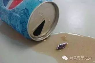 14720259052480.jpeg