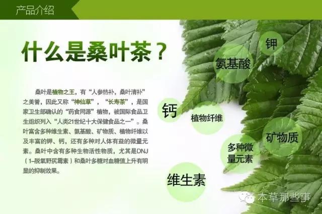 桑叶茶有什么功效和作用—— 桑叶茶功效和作用:  1,消热凉血,清肠