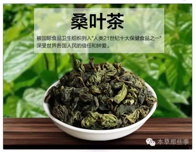 桑葉泡水的6大功效,特別是治療糖尿病