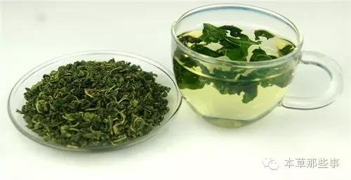 桑葉泡水的6大功效,特別是治療糖尿病