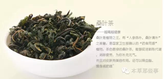 桑葉泡水的6大功效,特別是治療糖尿病