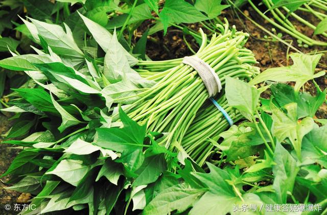 「抗癌蔬菜」,梗比葉子的「活性」成分還高,最全做法(快收藏)