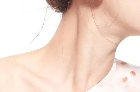 脖子才是身體最致命的部位!