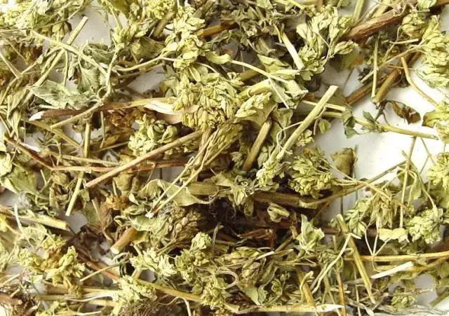 肝不好,人易老!養肝護肝,多喝這6種茶!便宜又好喝