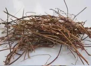 肝不好,人易老!養肝護肝,多喝這6種茶!便宜又好喝