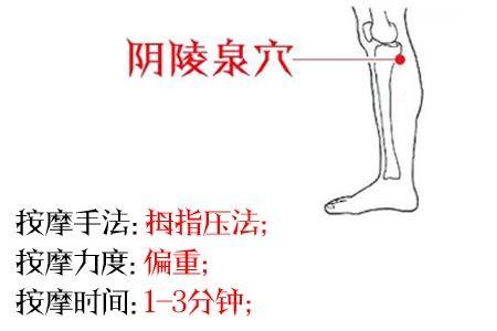 健脾養生的4個穴位,指哪按哪,人體強壯