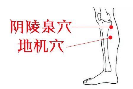 健脾養生的4個穴位,指哪按哪,人體強壯