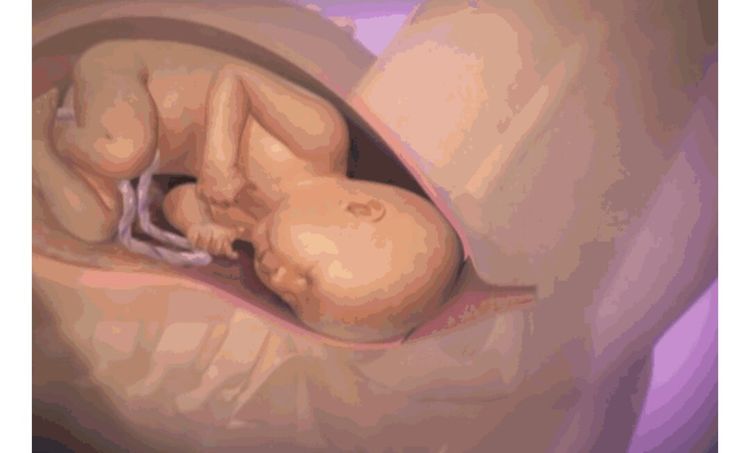 生宝宝顺产到底有多疼?7张图片告诉你女人有多不容易