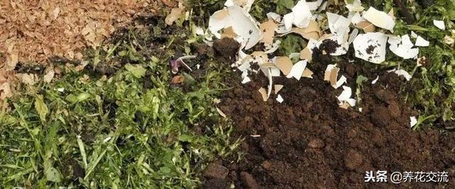 自製有機肥料的8種方法，用到的都是生活中的廢棄物