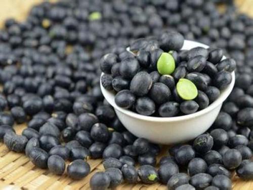 黑豆富含花青素，高蛋白低熱量，與它一起煮粥，勝過多種補藥