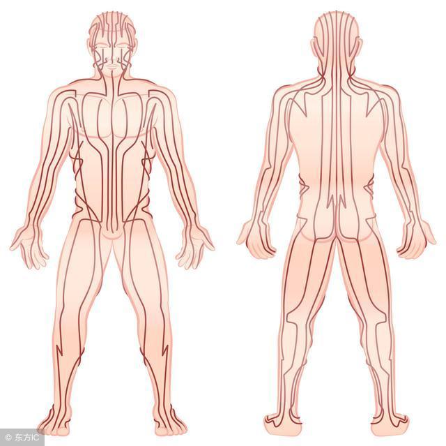 痛则不通!学会一招,通经络,暖全身,这个冬天不感冒!