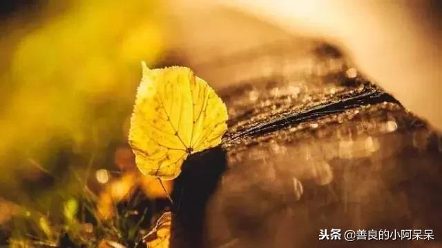 告訴孩子:這四種情況下,千萬不要善良! (值得收藏)