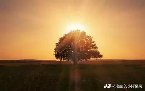 告訴孩子:這四種情況下,千萬不要善良! (值得收藏)