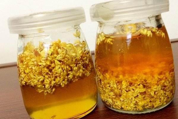 幽門螺桿菌會傷胃?晨起謹記3喝,2不吃,消炎殺菌,養胃還排毒素