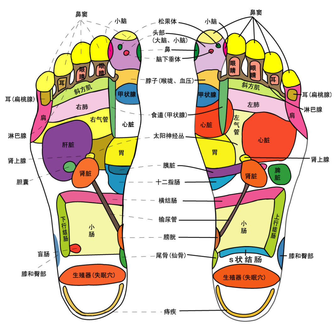 脚底正踩在肺反射区.