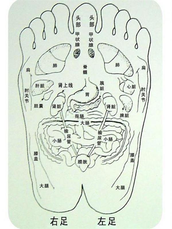 脚底按摩秘技,一家一人会,可省医药费呢!