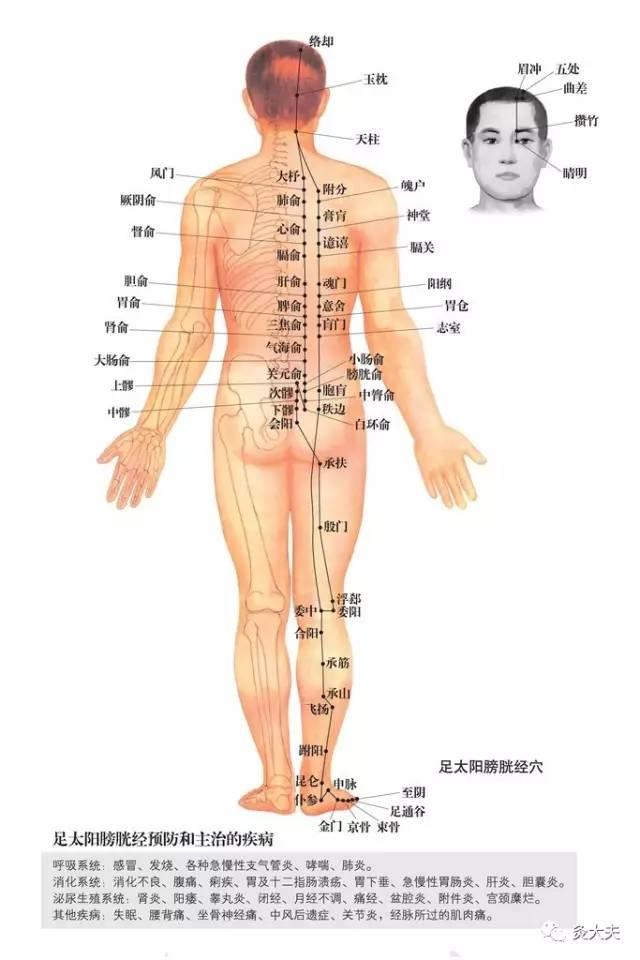 這條經脈不能堵,女人一定要打通,它一堵,一輩子與健康無緣!